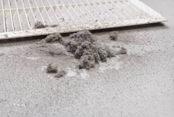 Air Duct Mold Removal in Britton, SD